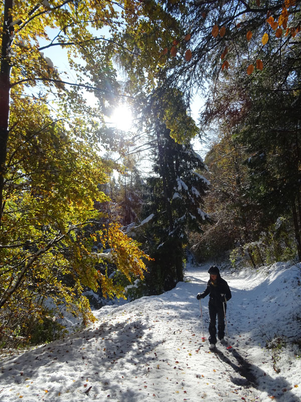 prime escursioni sulla neve....autunno  2019